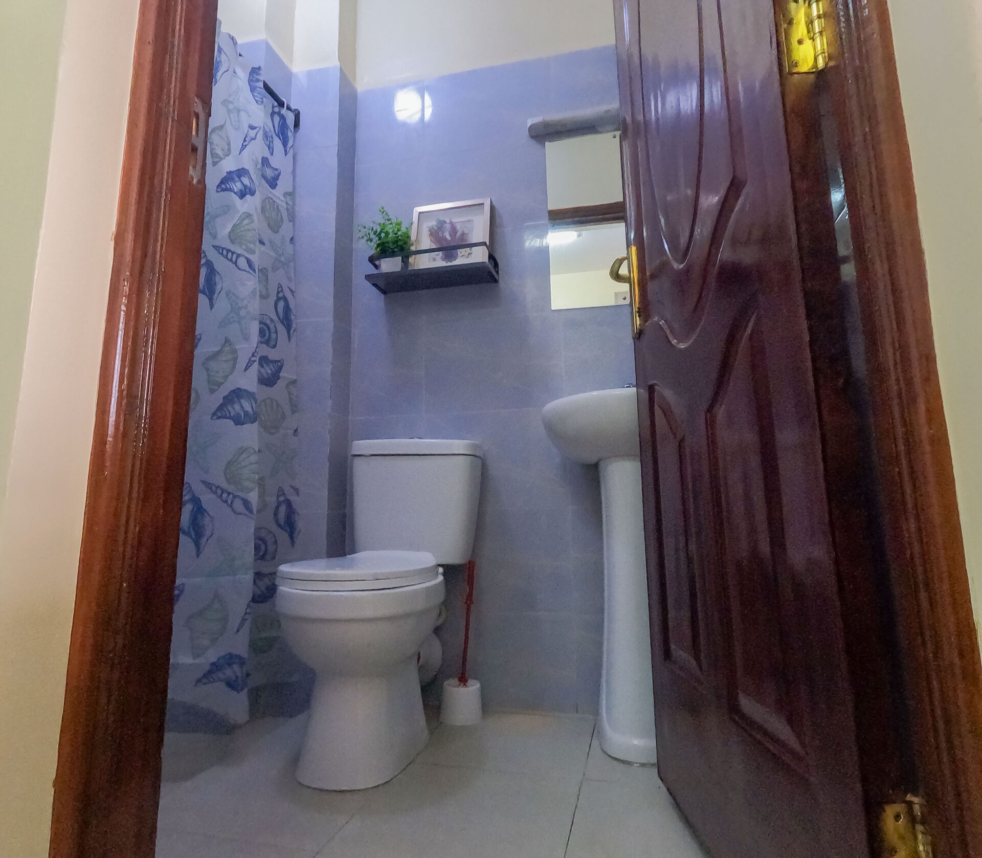 dcim100goprogopr6693.jpg
