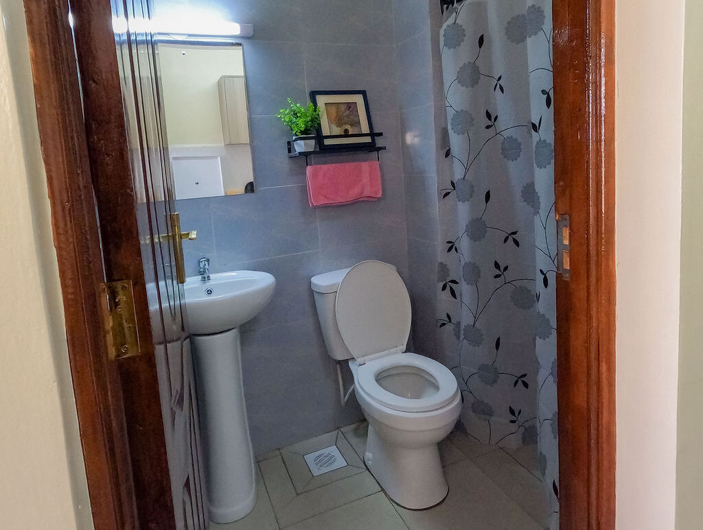 dcim100goprogopr6762.jpg